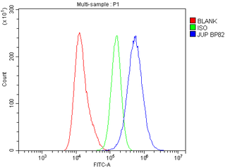 gamma Catenin/JUP Antibody