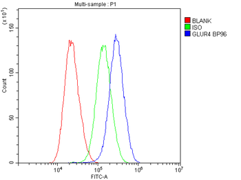 Ionotropic Glutamate receptor 4/GRIA4 Rabbit Polyclonal Antibody