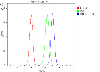 IKK beta/IKBKB Rabbit Polyclonal Antibody
