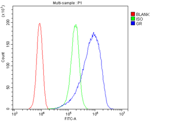 Glucocorticoid Receptor/NR3C1 Rabbit Polyclonal Antibody