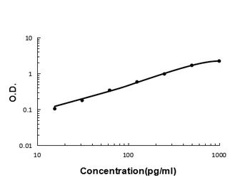 Interleukin-13 IL13/13 Rabbit Polyclonal Antibody