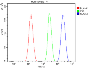 KAT13A/SRC1/NCOA1 Antibody