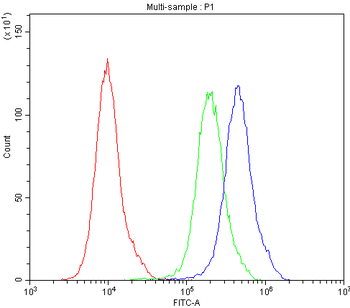 Aquaporin 2/AQP2 Rabbit Polyclonal Antibody