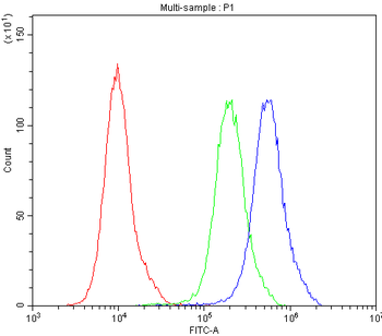 ATG14L Antibody