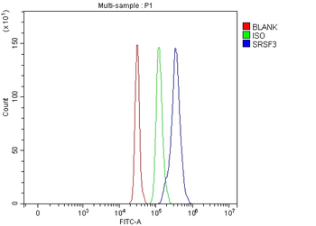 SFRS3/SRSF3 Rabbit Polyclonal Antibody