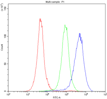 Cytochrome P450 1A1/CYP1A1 Antibody