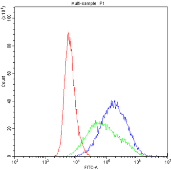 Cytochrome P450 1A1/CYP1A1 Antibody