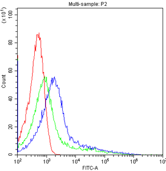 Cytochrome P450 1A1/CYP1A1 Antibody