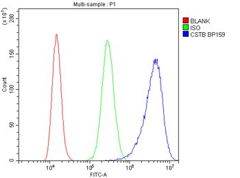 Stefin B/CSTB Rabbit Polyclonal Antibody
