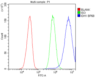 Isocitrate dehydrogenase/IDH1 Antibody