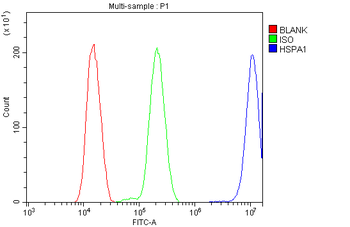 Hsp70/HSPA1A/HSPA1B Rabbit Polyclonal Antibody