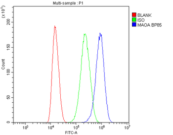 Monoamine Oxidase A/MAOA Rabbit Polyclonal Antibody
