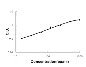 Tissue Factor/F3 Antibody