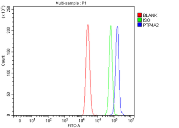 PTP4A2 Rabbit Polyclonal Antibody