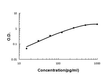Prealbumin/TTR Rabbit Polyclonal Antibody