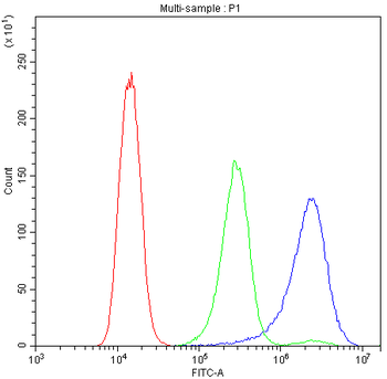 Bik Antibody