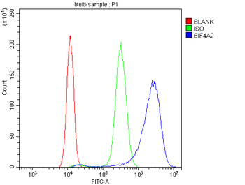 eIF4A2 Rabbit Polyclonal Antibody