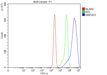 MEK3/MAP2K3 Rabbit Polyclonal Antibody