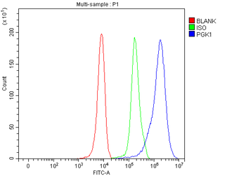 PGK1 Rabbit Polyclonal Antibody