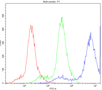 PPT1 Rabbit Polyclonal Antibody