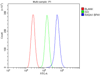 RASA1 Rabbit Polyclonal Antibody