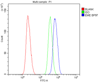 EME1 Rabbit Polyclonal Antibody