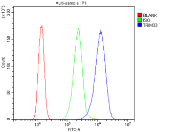 TIF1 gamma/TRIM33 Rabbit Polyclonal Antibody