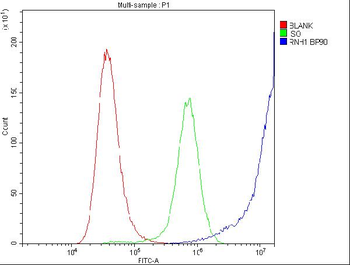 Ribonuclease Inhibitor/RNH1 Antibody