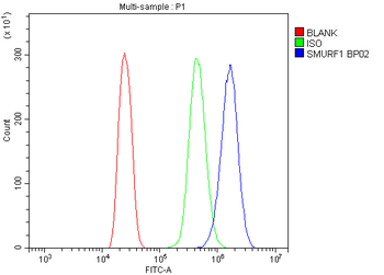 SMURF1 Rabbit Polyclonal Antibody