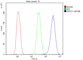 SPTLC1 Rabbit Polyclonal Antibody
