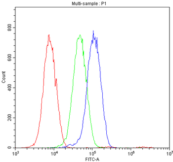 Osteocalcin/BGLAP Rabbit Polyclonal Antibody