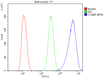 GC1q R/C1QBP Rabbit Polyclonal Antibody