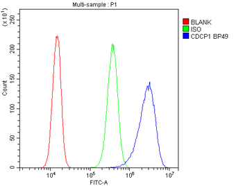 CDCP1 Antibody