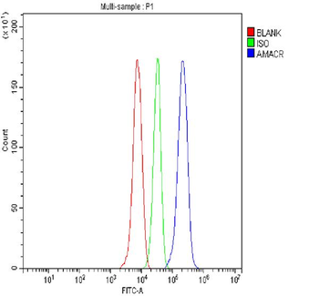 AMACR Rabbit Polyclonal Antibody