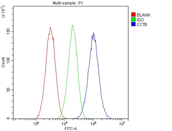 TCP1 theta/CCT8 Rabbit Polyclonal Antibody