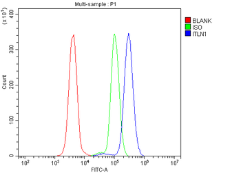 ITLN1 Rabbit Polyclonal Antibody