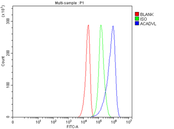 ACADVL Rabbit Polyclonal Antibody
