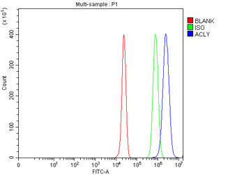 ATP citrate lyase/ACLY Antibody