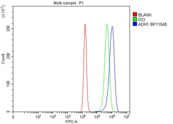Alcohol Dehydrogenase/ADH1A Rabbit Polyclonal Antibody