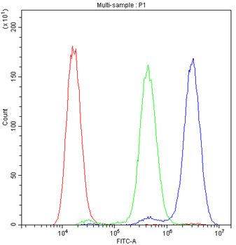 ADO Antibody