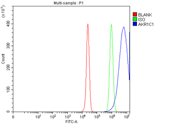 AKR1C1/C2 Rabbit Polyclonal Antibody