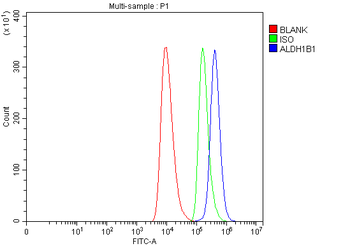 ALDH1B1 Antibody