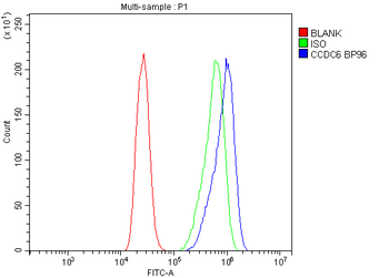 CCDC6 Antibody