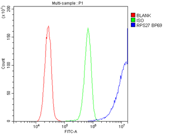 MPS1/RPS27 Rabbit Polyclonal Antibody