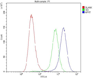 APRT Rabbit Polyclonal Antibody