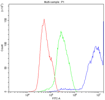 Diazepam Binding Inhibitor/DBI Rabbit Polyclonal Antibody