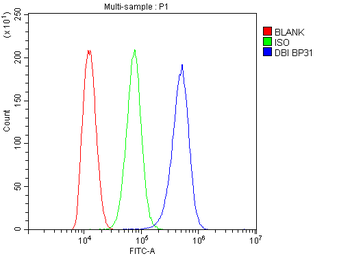 Diazepam Binding Inhibitor/DBI Rabbit Polyclonal Antibody