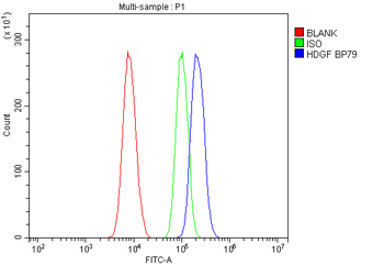 HDGF Rabbit Polyclonal Antibody