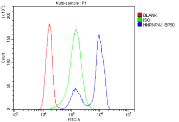 HnRNP A1/HNRNPA1 Antibody