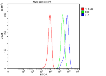 ST7 Rabbit Polyclonal Antibody